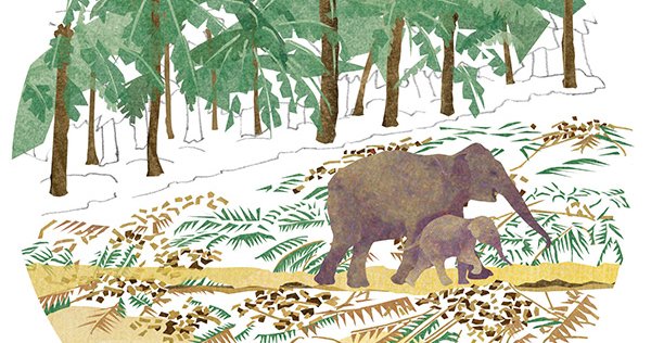 Innovative Solutions for Human-Wildlife Coexistence | WWF