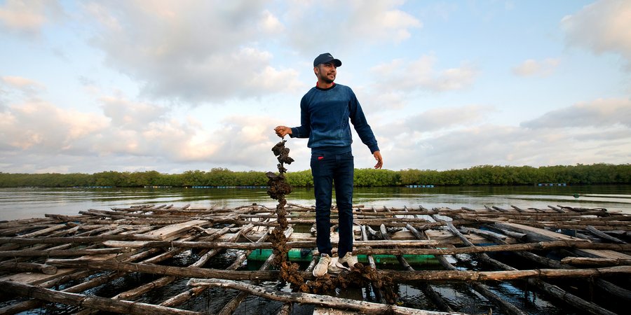 Man stands on dock holding string of oysters