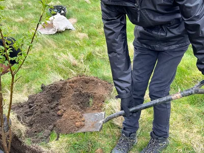 Kid planting tree