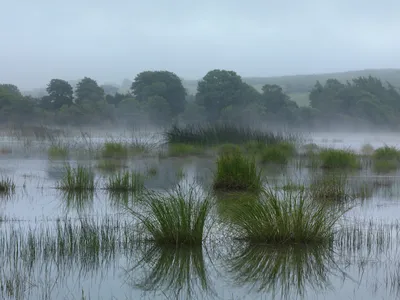 groundwater fed seasonal turlough lake, Burren National Park, County Clare, Ireland
