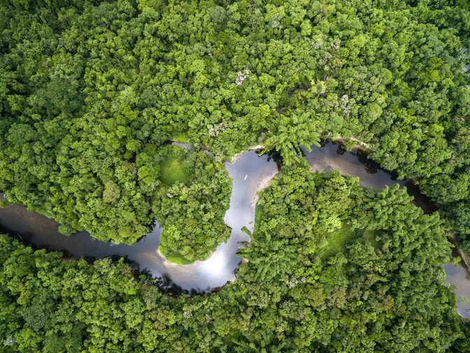 Aerial view of the Amazon River and surrounding forest