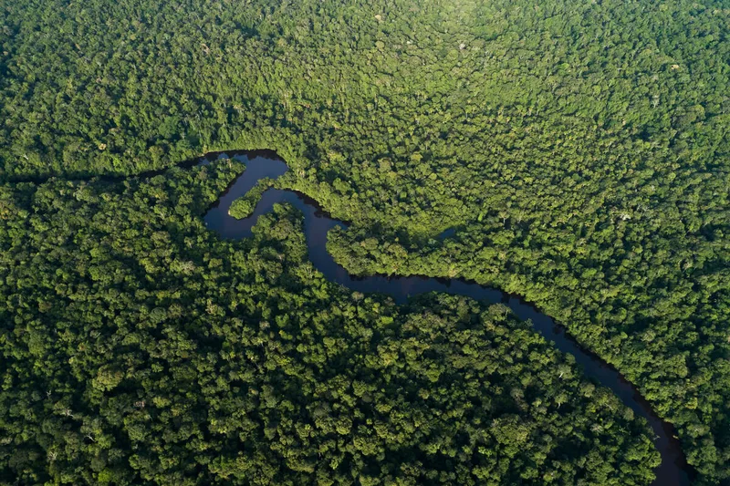 An aerial view of the dark blue Jaturana River winding through the lush, green Amazon Rainforest