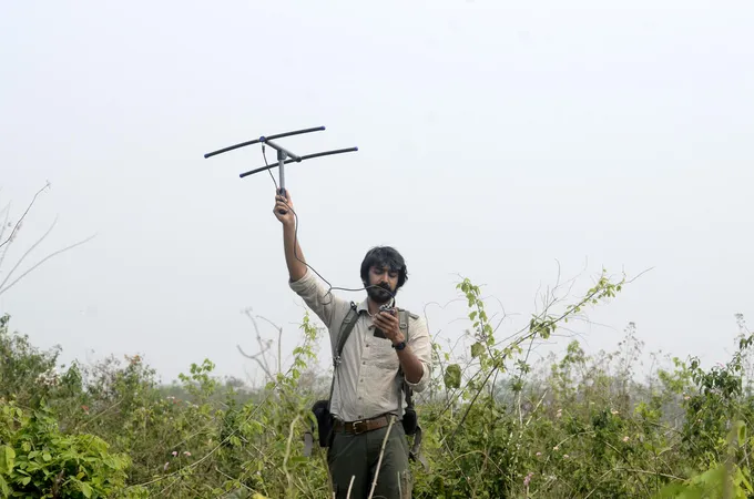 WWF biologist tracks the movements of an elephant know as Tara with a hand held satellite in Assam, India