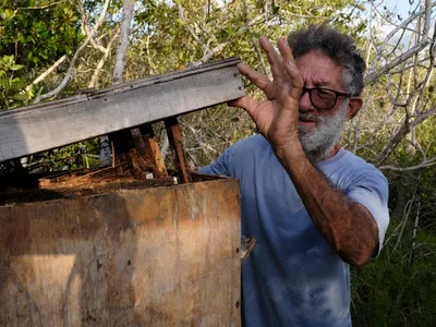 Enrique "Kike" Ermitanio Nápoles Santana wears a blue shirt and has a gray beard and dark gray hair. He lifts the lid on a beehive.