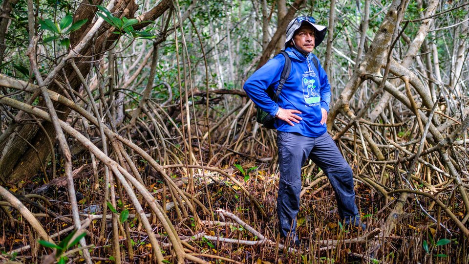 Jorge Herrera stands in the mangroves in Yucatan Mexico