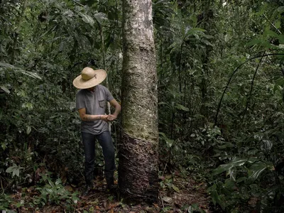 Rogerio Barras, an extractive leader, in the Chico Mendes extractive reserve