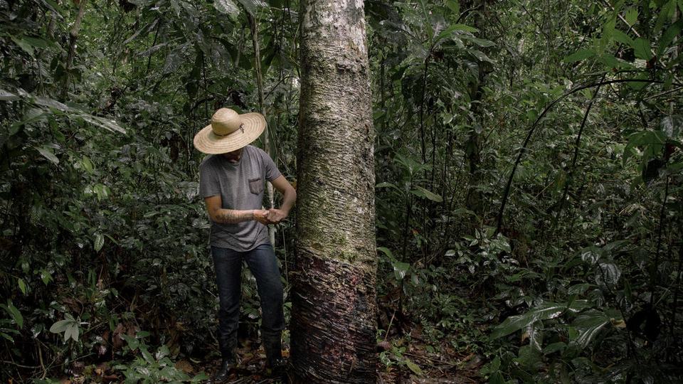 Rogerio Barras, an extractive leader, in the Chico Mendes extractive reserve