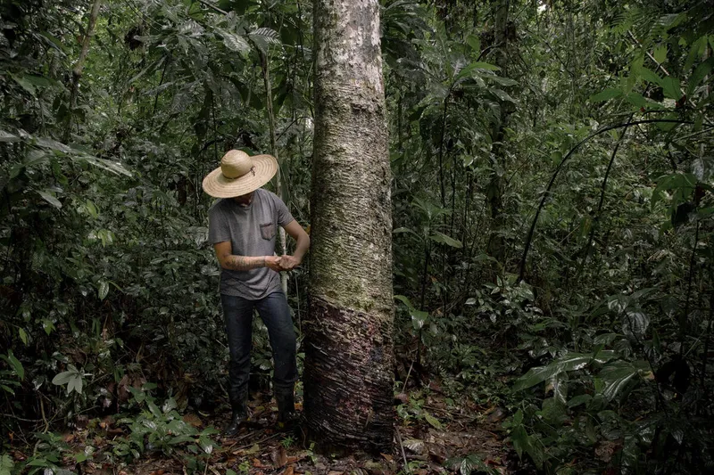 Rogerio Barras, an extractive leader, in the Chico Mendes extractive reserve