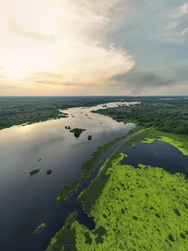 An aerial view of waters inside U Minh Thuong National Park, Kien Giang province, Vietnam