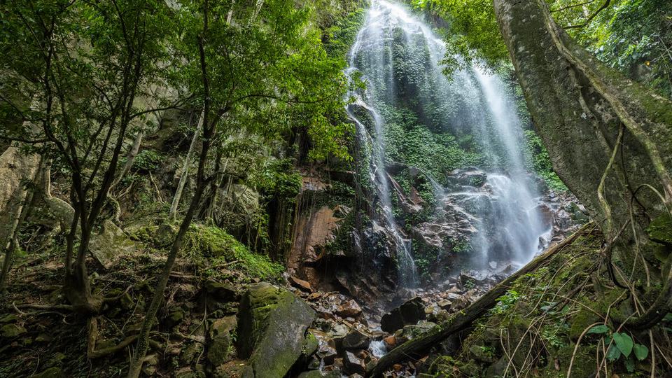 A waterfall splashes down a rocky cliff with trees growing around it