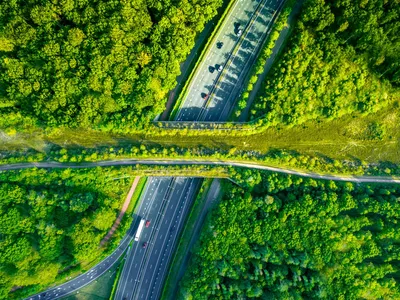 Aerial directly above view of a green bridge ecoduct for fauna crossing above highway in the Western Europe.