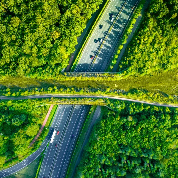 Aerial directly above view of a green bridge ecoduct for fauna crossing above highway in the Western Europe.