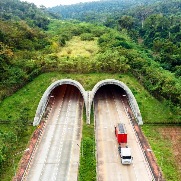 wildlife crossing over highway