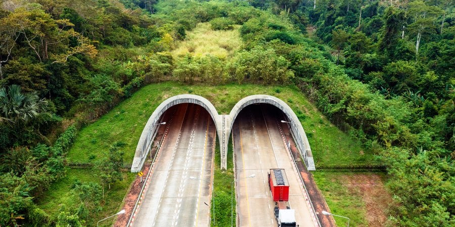 wildlife crossing over highway