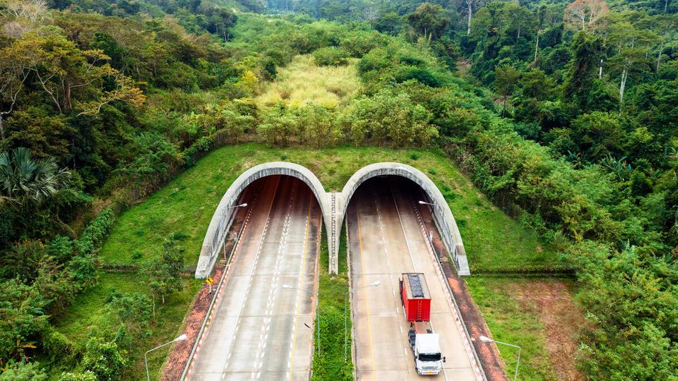 wildlife crossing over highway