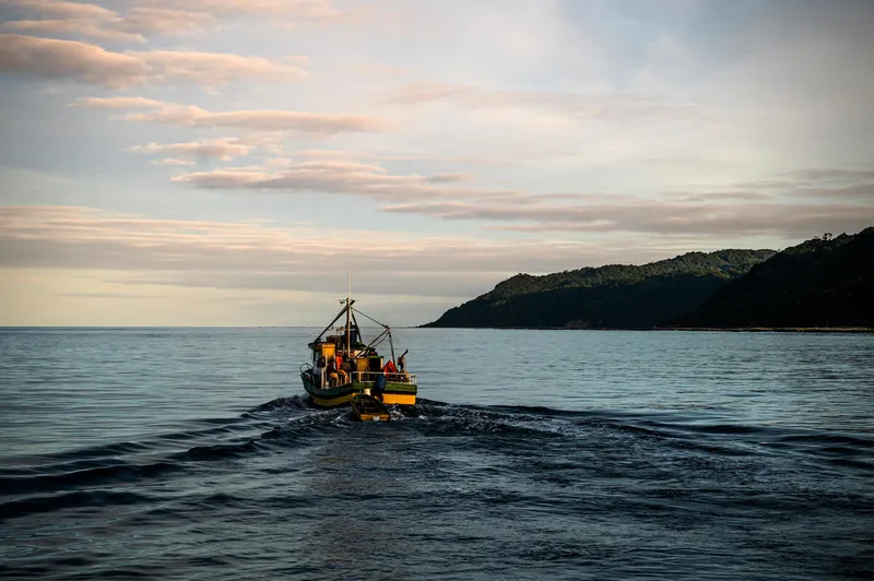 A fishing boat heads off into the waters near Guafo Island, Chile