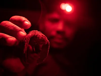 Newborn sea turtle held by Arcesio Calderon, a turtle keeper, at night with a red headlamp light.