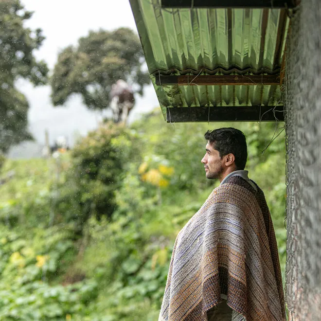 Local farmer, Oscar Raigozo, stands beneath an awning and looks out at a lush, rainy landscape.
