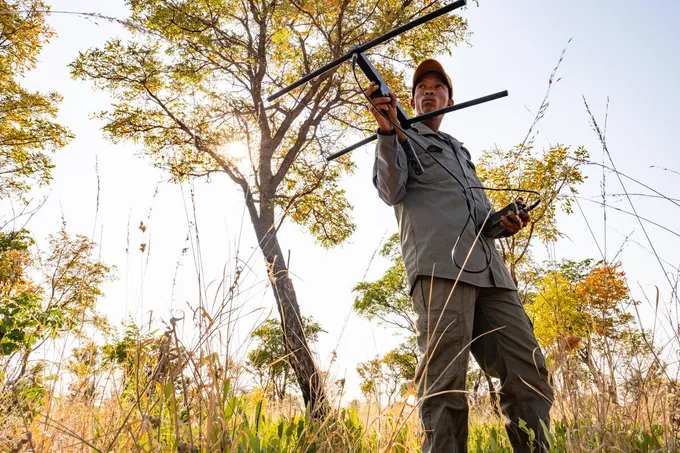 Ranger ≠oma Sao Xuma wears dark green and holds up black tracking device with green trees and grasses in the background