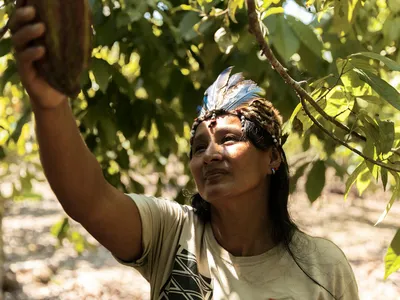 Jane del Castillo wears a head decoration and white top and reaches up into a bright green tree