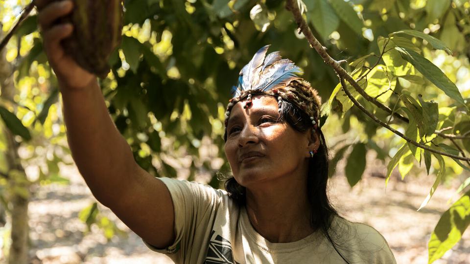 Jane del Castillo wears a head decoration and white top and reaches up into a bright green tree