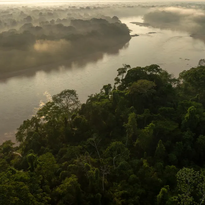 The Tambopata River from above in the early morning with mist.