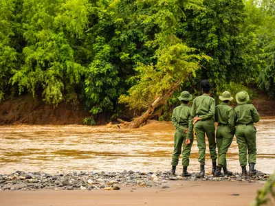 Four rangers in green uniforms with green hats stand on the bank of a brown river looking across to lush forest