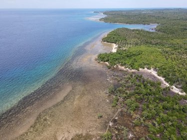 Drone shot of the mangrove forest in southern Palawan