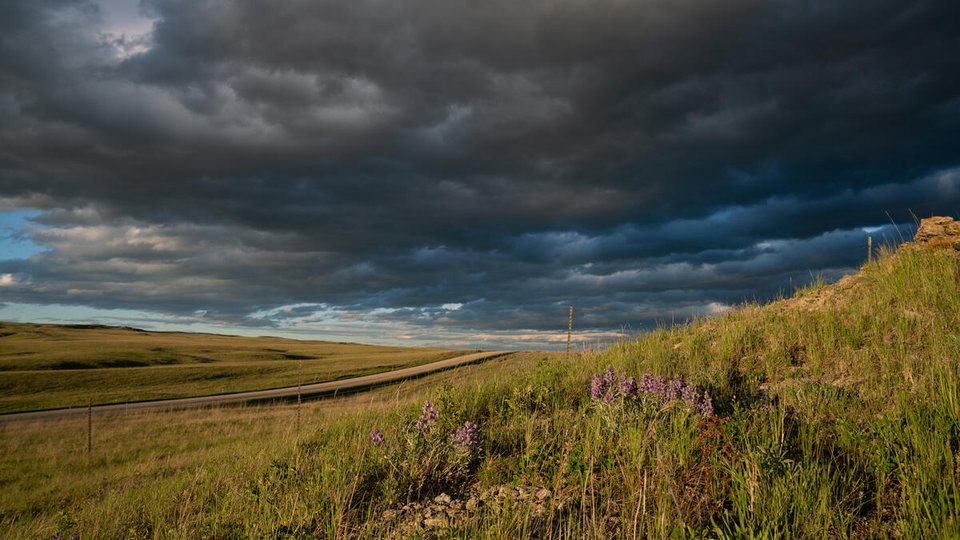 Dramatic landscape showing grasslands and a moody sky