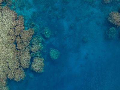 Aerial view of a reef system off Yadua Island near Vanua Levu_Fiji