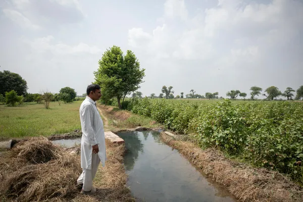 A person stands next to an irrigation canal in a field.