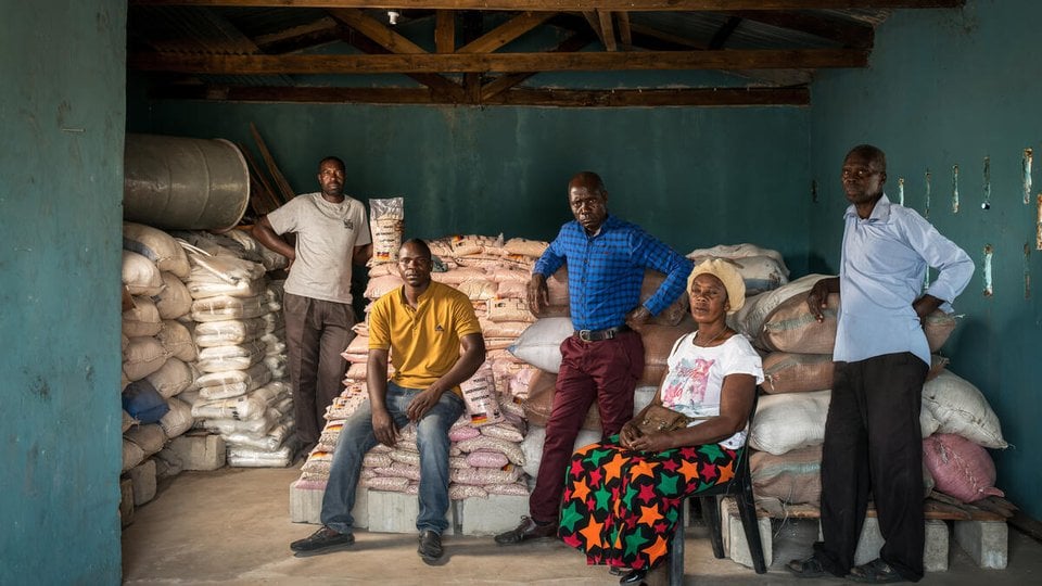 Seed Growers Association in Zambia