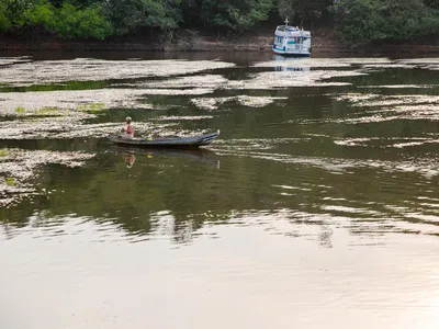 A fisher navigates the Arapiuns River in a wooden boat in the afternoon