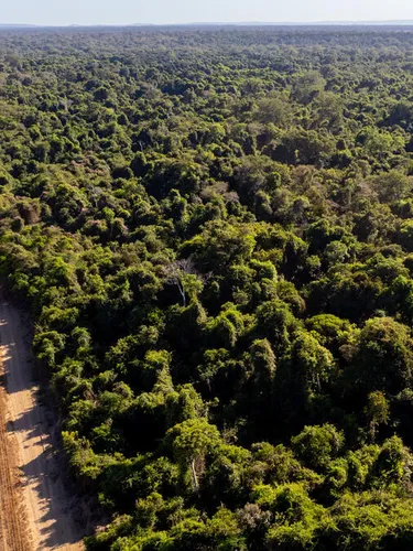 An aerial view of the Amazon where forest edge meets land plowed for agriculture