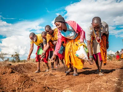 Women from the Maasai Lemong’o Women’s Vision Self Help Group in Kajiado County, Kenya, spread grass seeds over earth bunds.