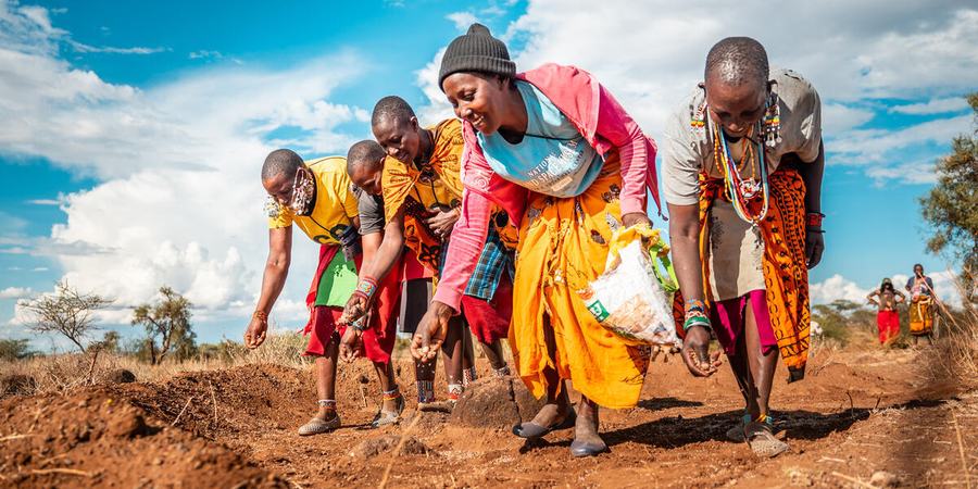 Women from the Maasai Lemong’o Women’s Vision Self Help Group in Kajiado County, Kenya, spread grass seeds over earth bunds.