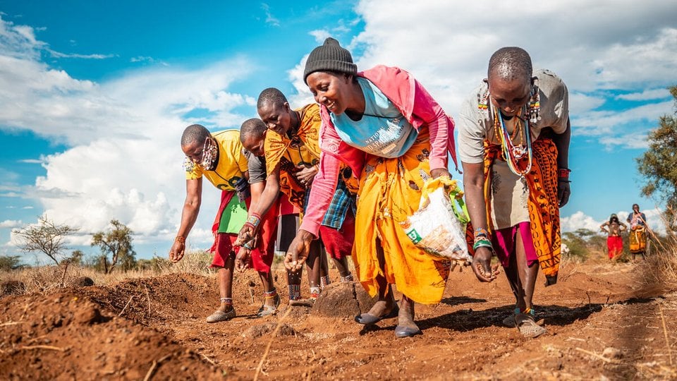 Women from the Maasai Lemong’o Women’s Vision Self Help Group in Kajiado County, Kenya, spread grass seeds over earth bunds.