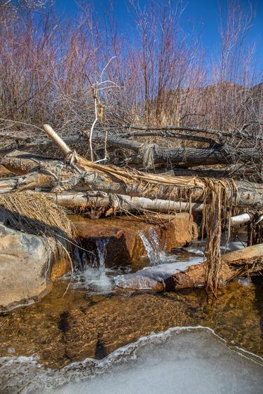 A beaver dam constructed at Los Potreros Open Space includes many felled trees with water running through it and ice at the bottom