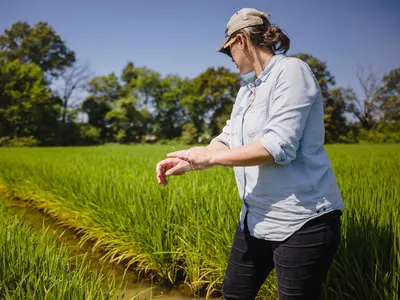 Hallie Schoffner in a rice field