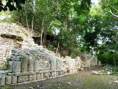 Yaxunah Archeological Site has a stone temple partially covered with trees and a dirt path