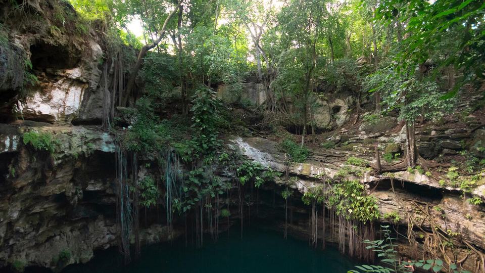 Cenote Lol Ha in Yucatán, Mexico, has dark water at the bottom and rock walls with vegetation dangling down and trees along the rim