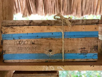 A wooden box holds the Melipona bee hive in Tzucacab, Yucatán, México