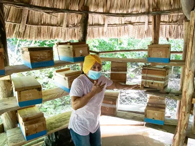 Bertha Silvia Canul Diaz stands in the shelter that houses dozens of meripona bee hives in Tzucacab, Yucatán, Mexico