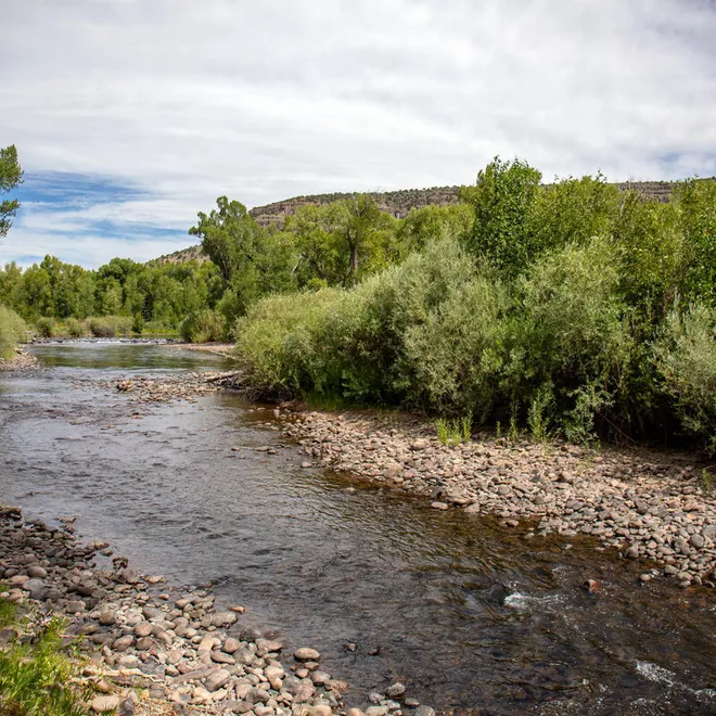 A view of the Conejos river flowing with tan, rocky banks and low green trees