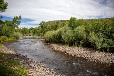A view of the Conejos river flowing with tan, rocky banks and low green trees