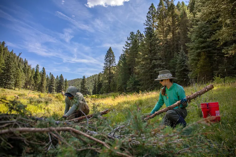 Jesse and Corina, crew members of Rio Grand Return, wear hats and work among green grass and trees to prepare logs for a beaver dam analog