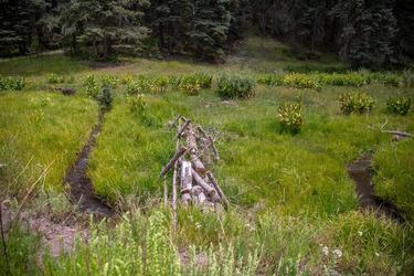A post-assisted log structure with gray logs cuts across a green and wet area