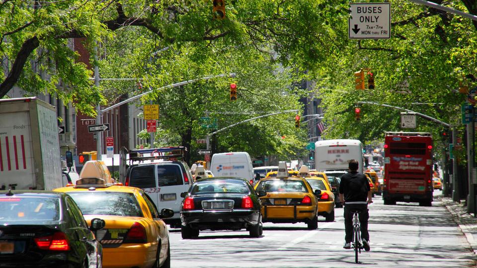 Cabs, cars, a bus and a bicycle move down a tree lined stretch of 5th Avenue in Manhattan, New York City