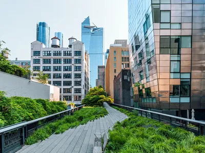 A view from the High Line in New York city where a plant lined elevated walkway is framed by high rise buildings