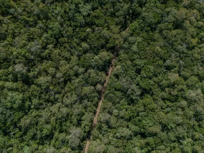 An aerial view road cutting through dense orest in Bolivia